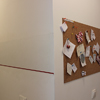 hostel pictures and facilities