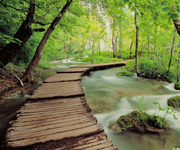 Plitvice lakes